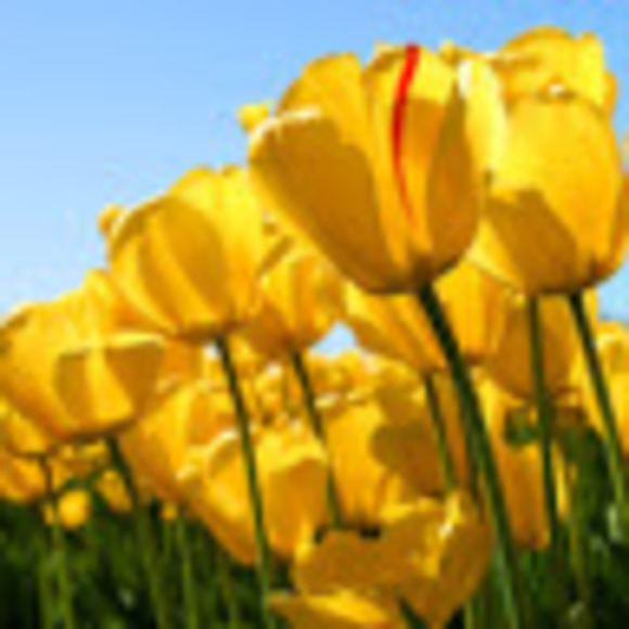 Meet your Posher, Jagraj - Picture 1 of 1